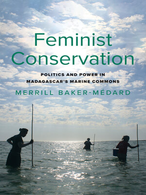 cover image of Feminist Conservation